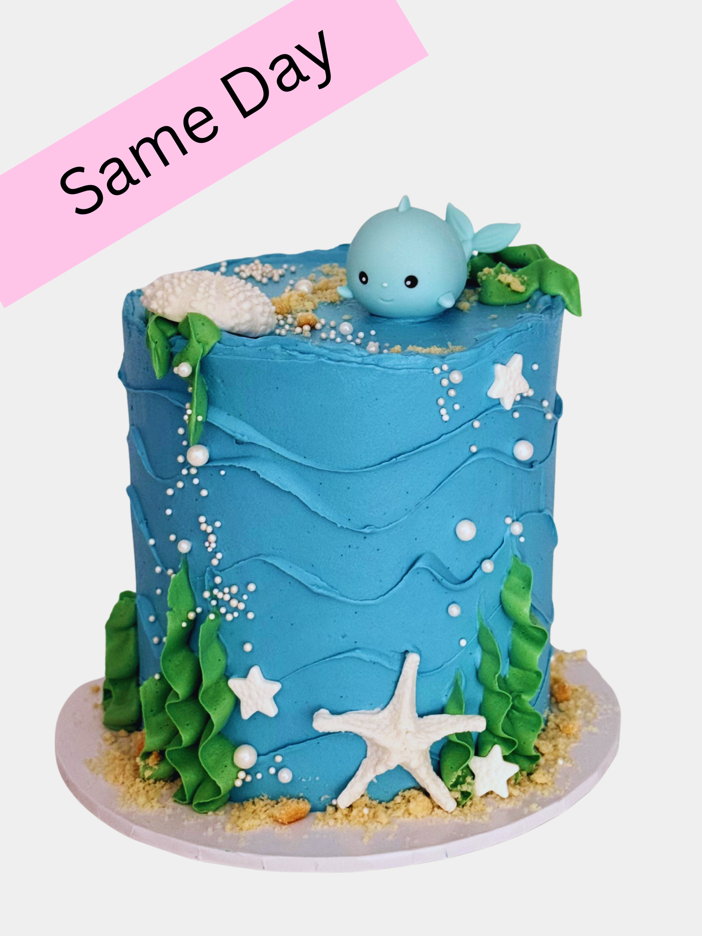 Under the Sea - same day