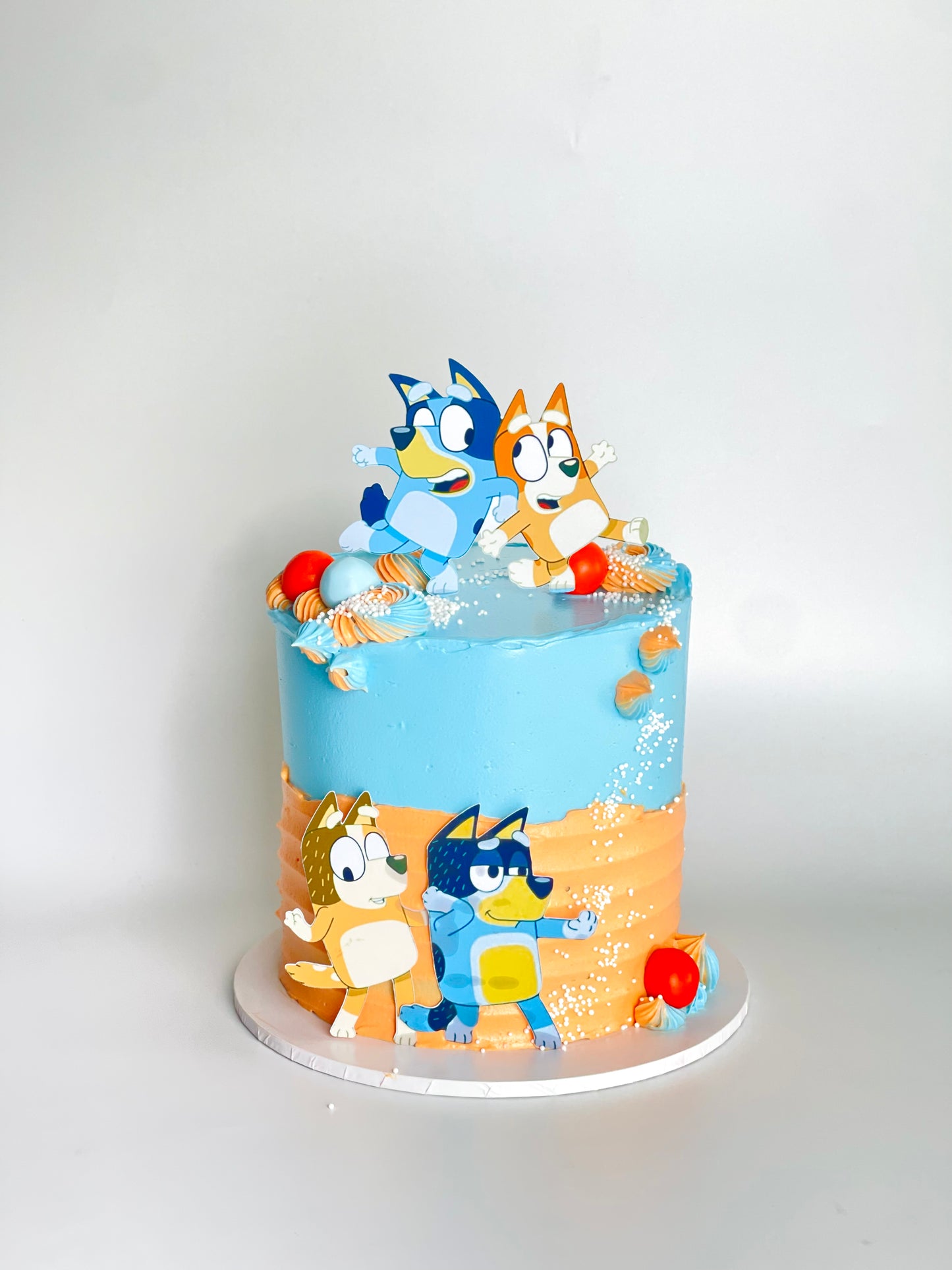 Bluey and Bingo cake with delivery in Brisbane