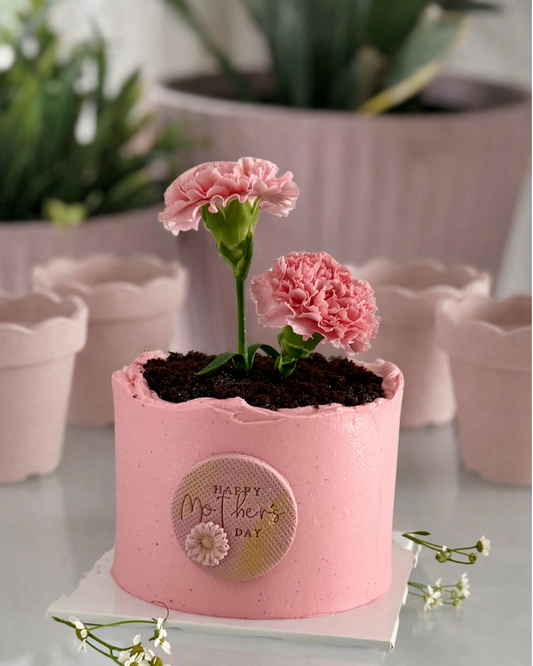 Pink cake with flowers and 'Happy Mother's Day' message, surrounded by potted plants.